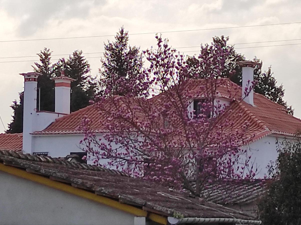Quinta Do Gestal - Soutelo Apartman Vila Verde  Kültér fotó