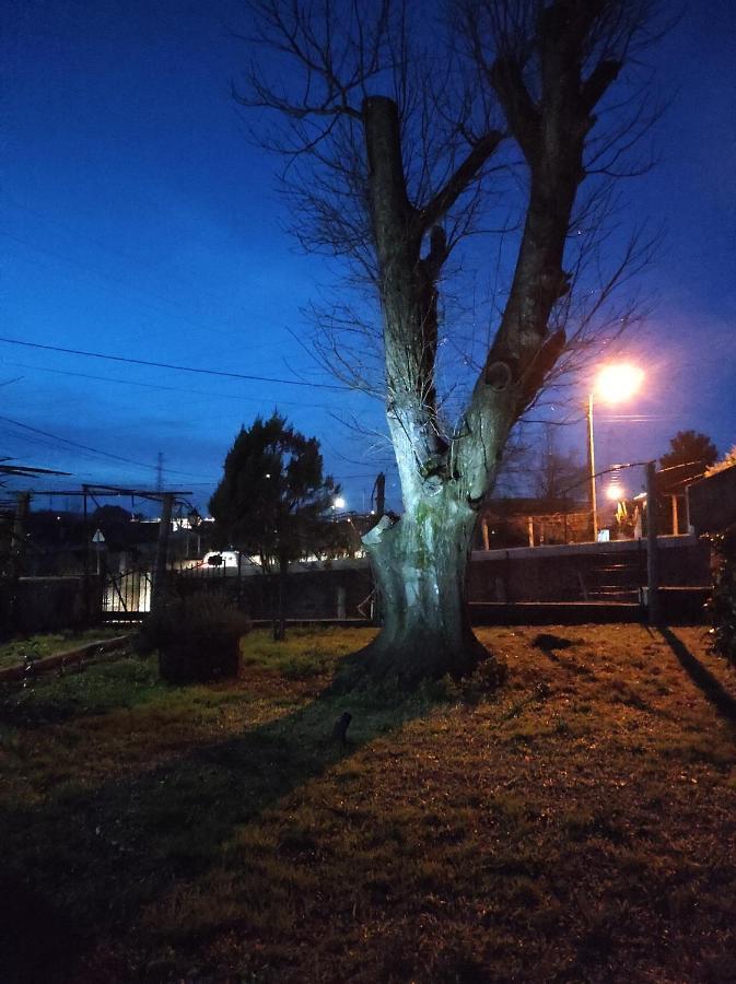 Quinta Do Gestal - Soutelo Apartman Vila Verde  Kültér fotó