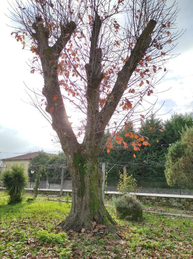 Quinta Do Gestal - Soutelo Apartman Vila Verde  Kültér fotó